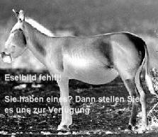 Bourbonen Esel